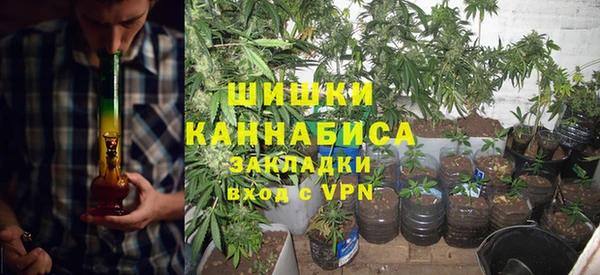 прущие грибы Беломорск