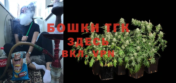 прущие грибы Беломорск