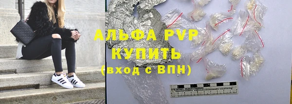 прущие грибы Беломорск
