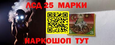 ешки Новодвинск