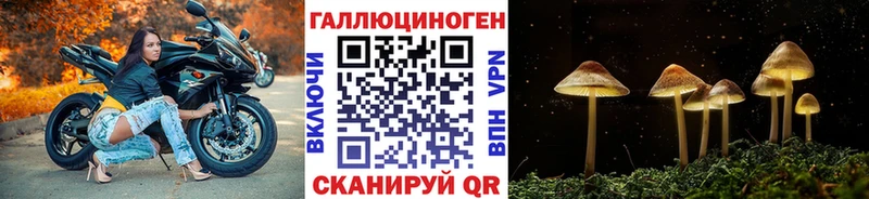 Псилоцибиновые грибы мухоморы  Дальнегорск 