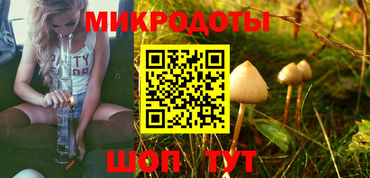 Галлюциногенные грибы ЛСД Дальнегорск